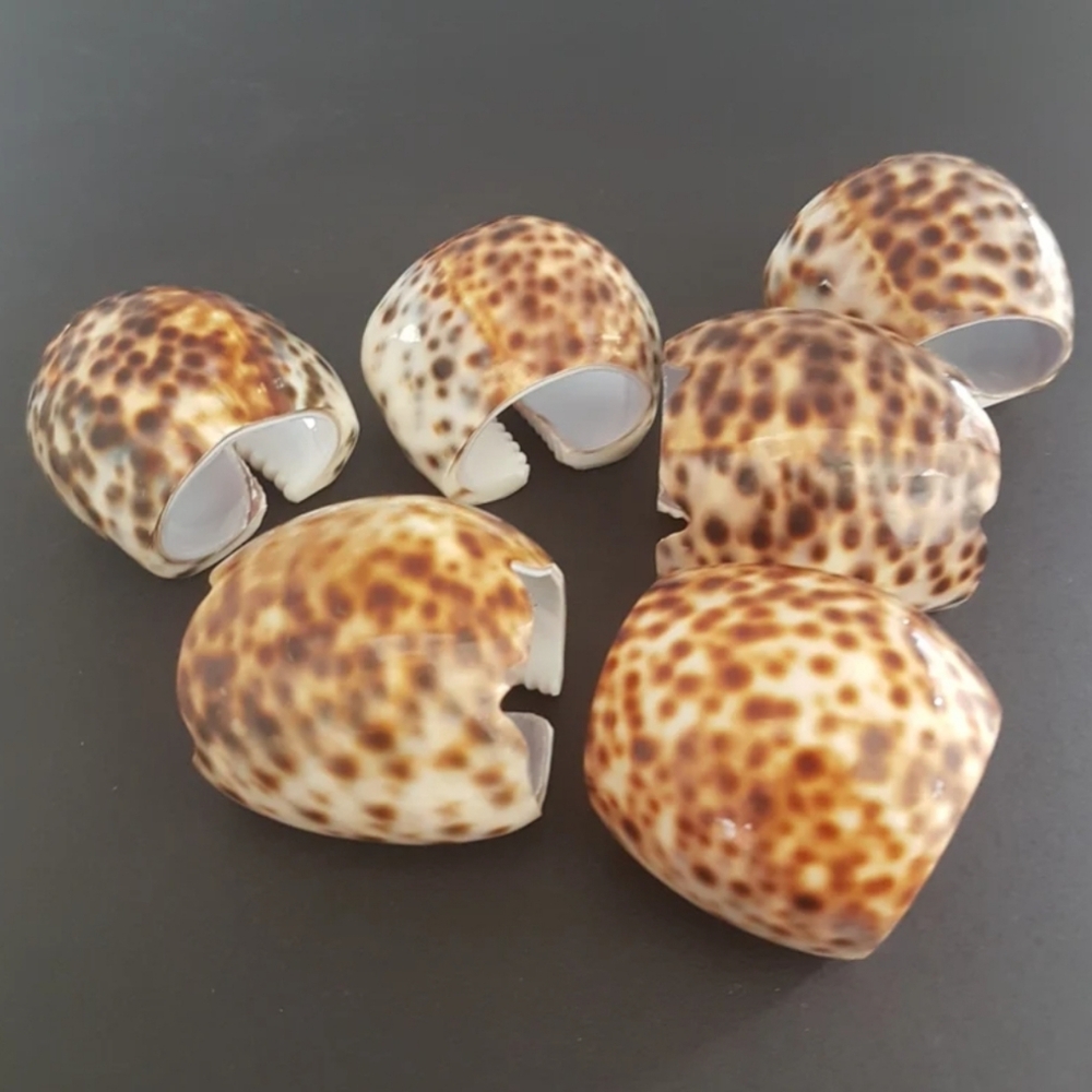 Vintage Coastal Boho Cowrie Shell Napkin Rings Decor Set for Beach House Table